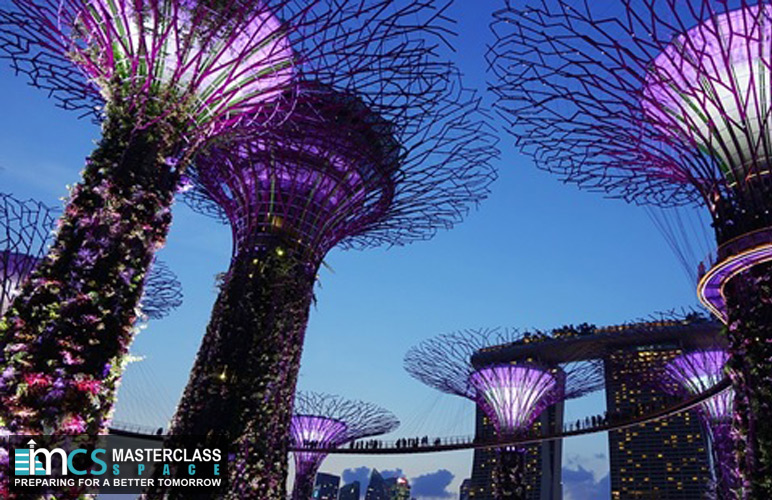 Best Tutor for SAT in Singapore