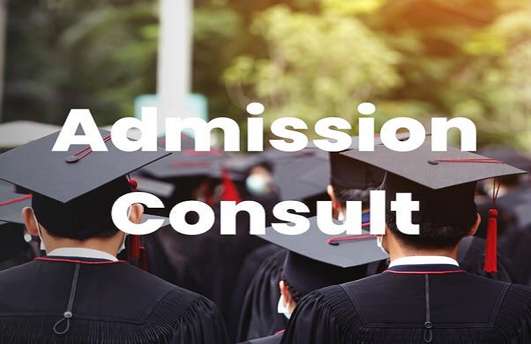 University Admissions Consultant